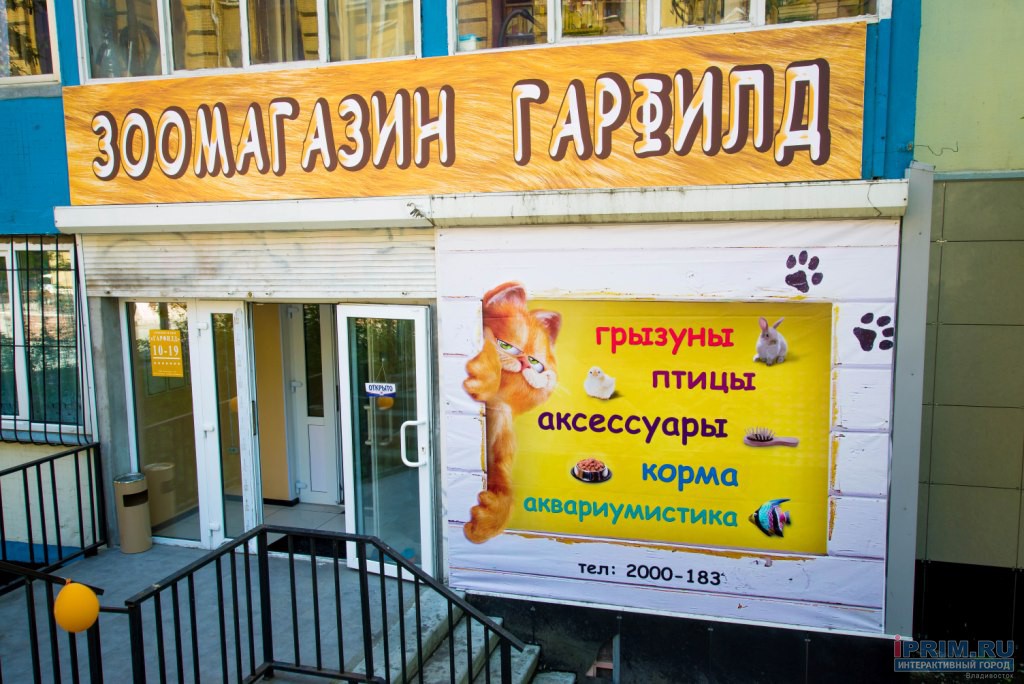 Магазин Гарфилд Минск Интернет Каталог Товаров